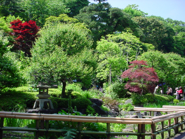 長谷寺の庭園