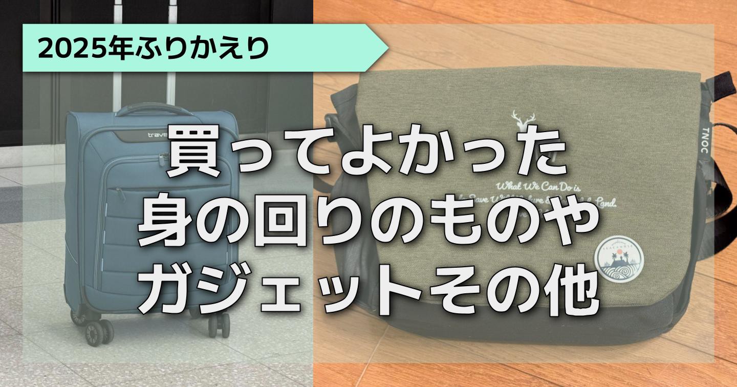 れもんの2025年買ってよかった～なものたち